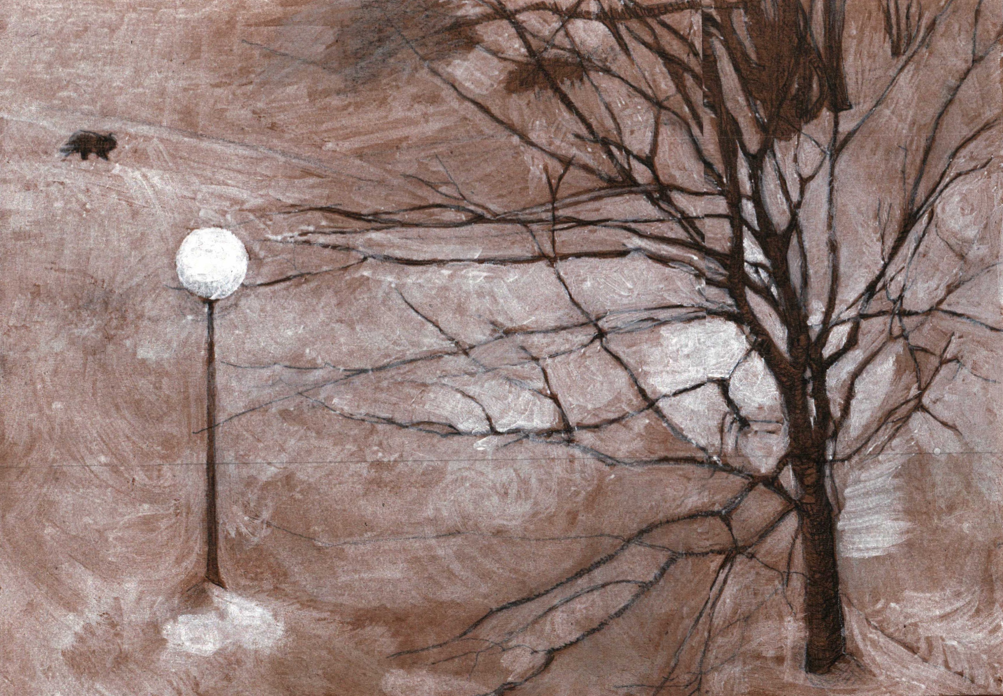Winter Yard
